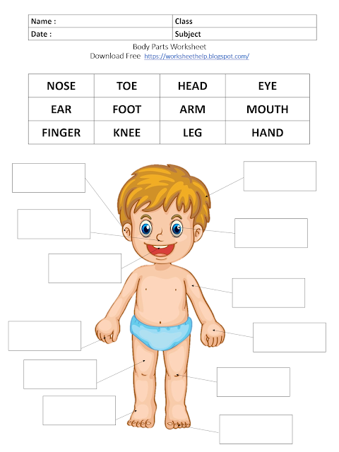 Body Parts Worksheet - Grade 1, www.worksheethelp.blogspot.com