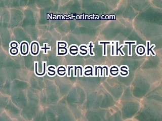 800 Best Tiktok Usernames 2020 - aesthetic roblox username ideas 2020