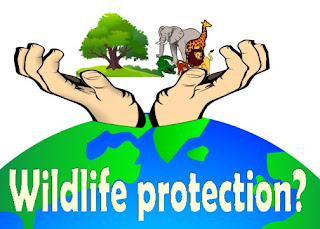 Governments spend a lot of money on wildlife protection instead of starting new projects