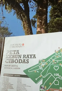 Peta kebun raya bogor