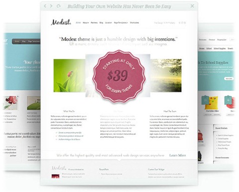desarrollar plantillas premium para Wordpress