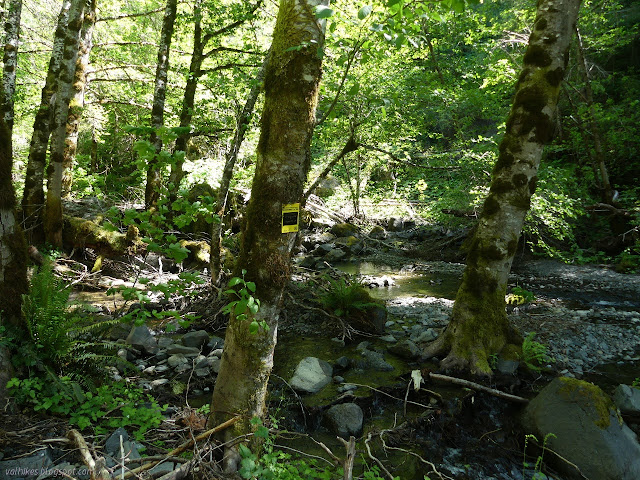 sign on a tree in the creek