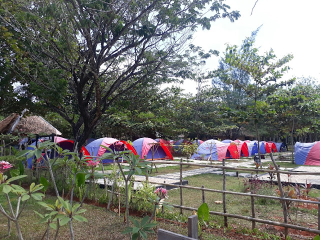 GREEN CORAL | Beach Camp Tanjung Lesung