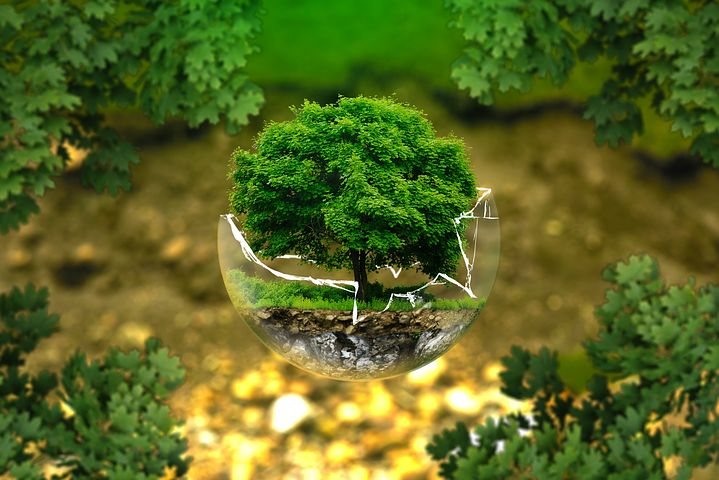 world-environment-day-2021-know-this-years-theme-and-why-it-is-celebrated-every-year