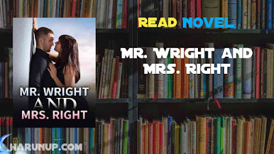 Read Mr. Wright and Mrs. Right Novel Full Episode