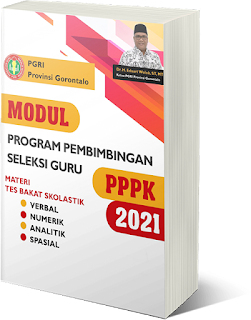 Kumpulan Soal PPPK Guru - Tes Bakat Skolastik Materi Sinonim - www.gurnulis.id