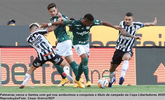 www.seuguara.com.br/Palmeiras/Santos/Copa Libertadores 2020/