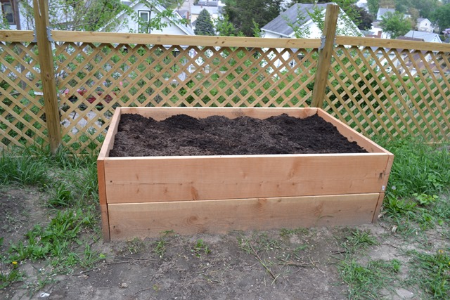 Garden Bed 13