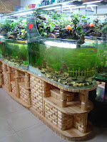 Bamboo Aquarium1