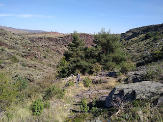 GR-167. Barranco del río Bornova