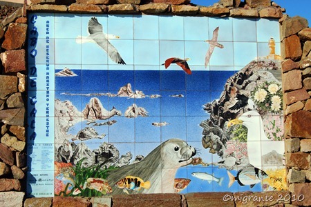 fauna del cabo