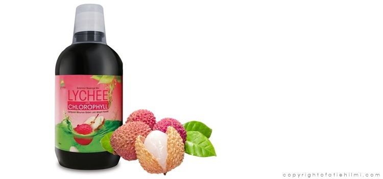 surya_chlorophyll_lychee_khasiat_klorofil