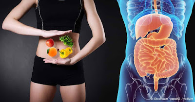 Consejos sencillos salud intestinal