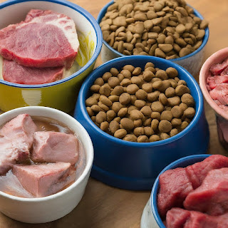Dog Nutrition Tips