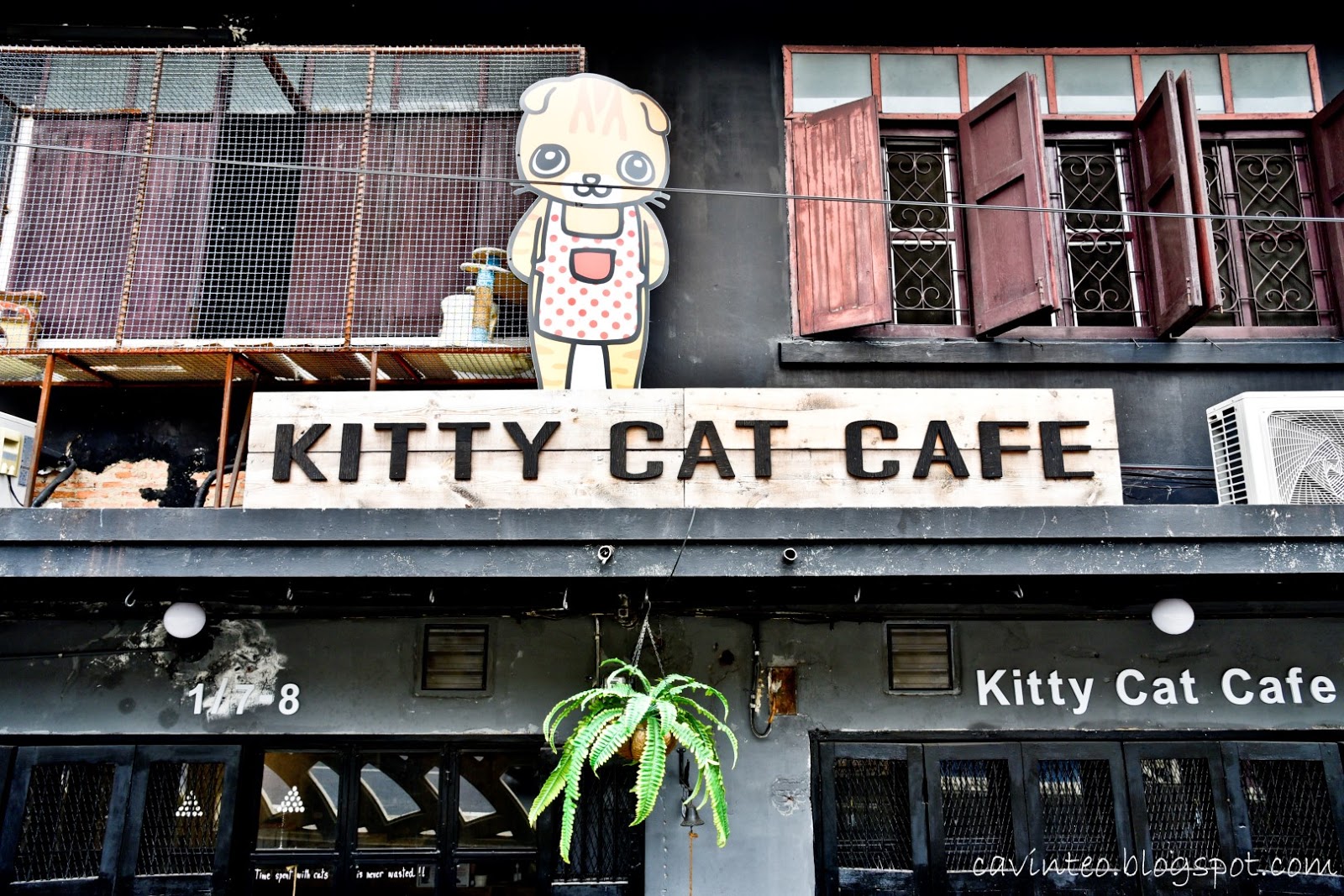 Entree Kibbles Kitty Cat  Cafe  Near  Democracy Monument 