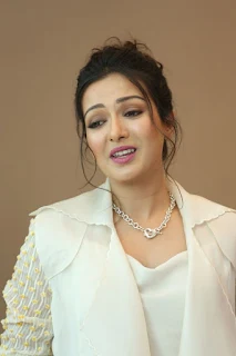 Catherine Tresa at World Famous Lover Movie Trailer Launch