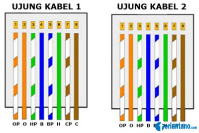 Susunan dan Cara Membuat Kabel UTP Straight dan Cross Lengkap - Feriantano.com