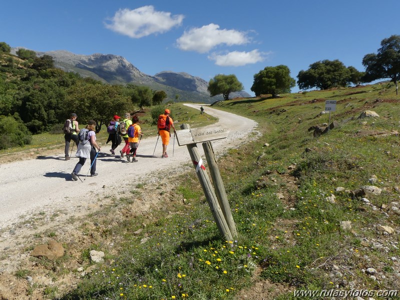 Estación de Cortes - Estación de Benaoján por el sendero del río Guadiaro