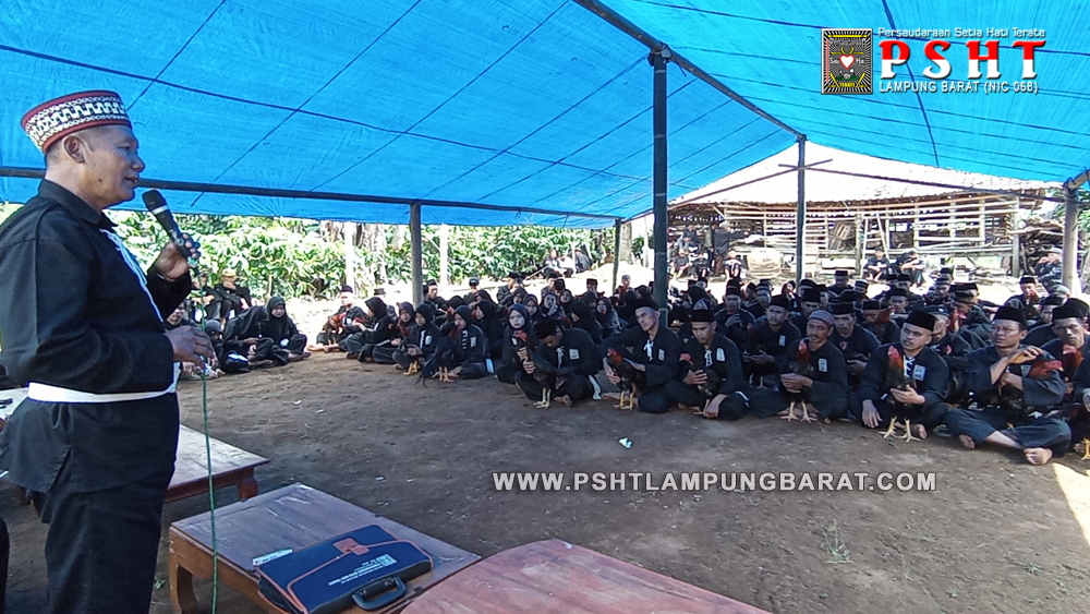 Pekon Waspada Menjadi Pusat Tes Jago Calon Warga SH Terate Ranting Sekincau dan Ranting Batu Ketulis Cabang Lampung Barat