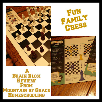 Mountain of Grace Homeschooling Review