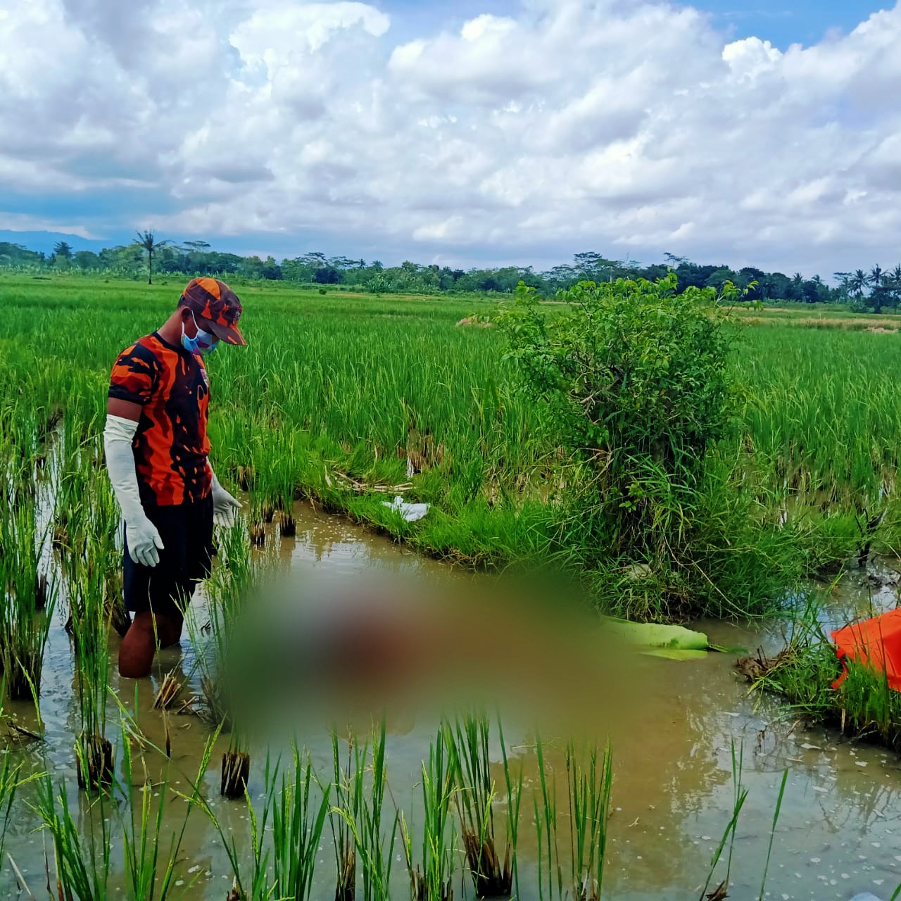 Innalillahi, Warga Mirit Ditemukan Meninggal di Pematang Sawah