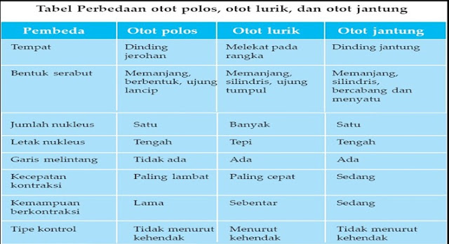 tabel perbedaan otot polos,otot lurik dan otot jantung