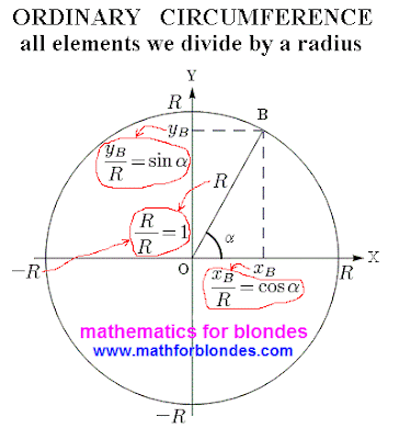 What trigonometric circle. All elements we divide by a radius. Mathematics for blondes.