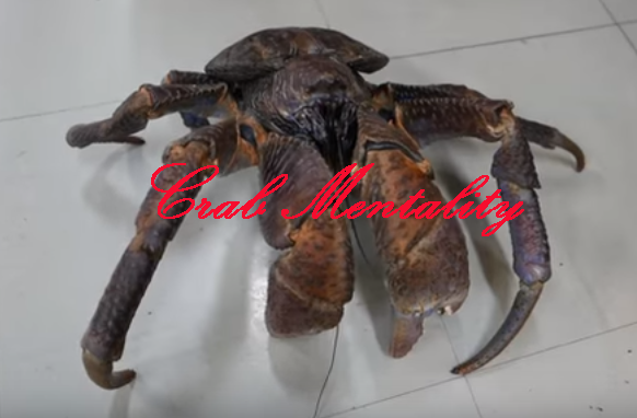 crab mentality meaning