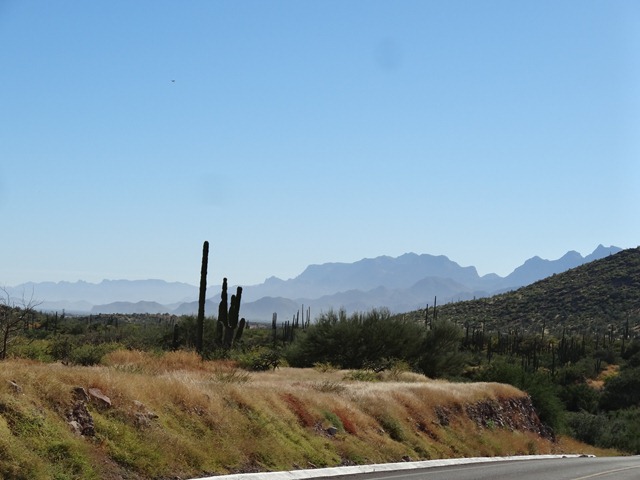 DSC01890