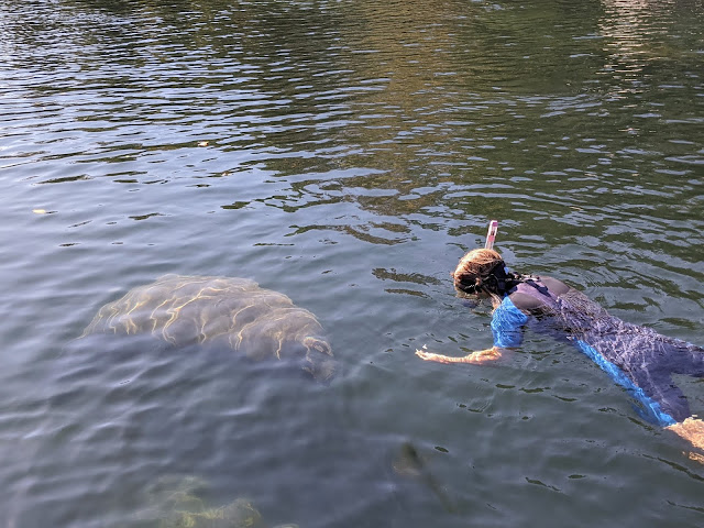 Susan and manatee