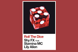 Shy FX – Roll the Dice (feat. Stamina MC & Lily Allen) – Single [iTunes Plus M4A]