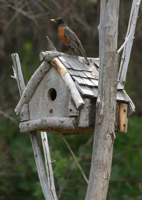 Unique Birdhouse