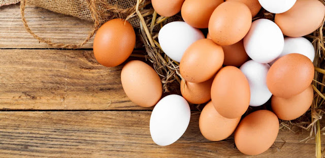 Alsorsa.News | Preços dos ovos atingem patamares recordes no Brasil