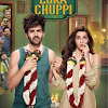 Bollywood Movies 2019 Box Office Collection Wiki