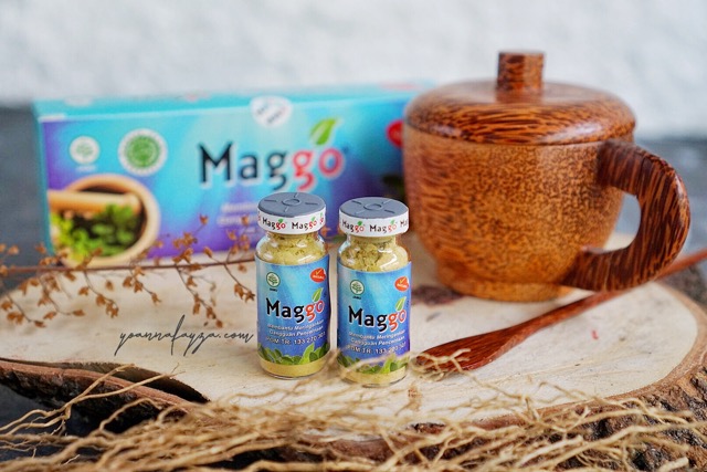 Maggo obat alami untuk sakit maag