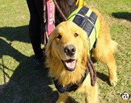 Pets 12 (2_1) (6)