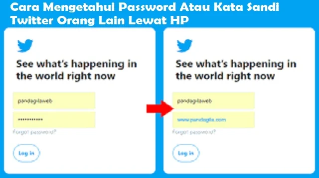 Pembahasan Cara Mengetahui Password Atau Kata Sandi Twitter Orang Lain Lewat HP