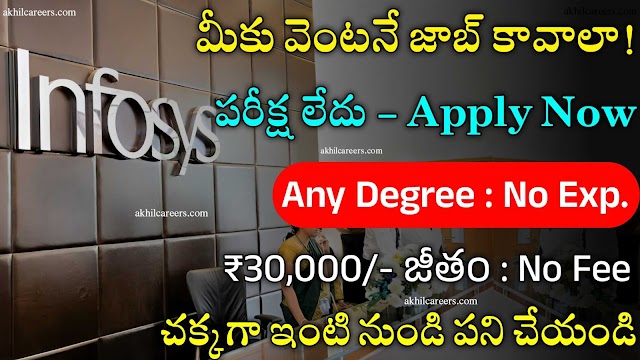 Infosys Recruitment 2024 | Work from Home Jobs 2024