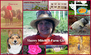Sherry MitchellFarm Girl: New Arrivals! Corgi Puppies