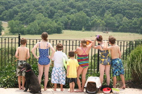 summer pool party 2012 059