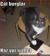 cat burgler haz yur wallet