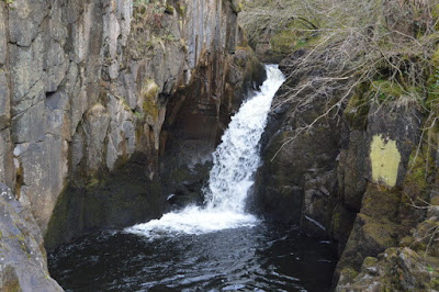 chadwick falls