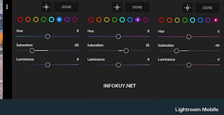 MIX Lagi - Cara Edit Foto di Lightroom