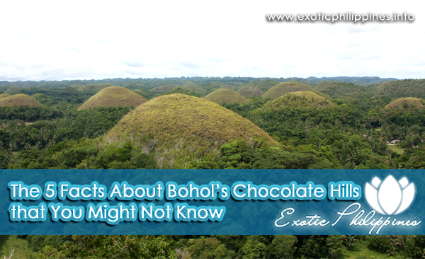 Chocolate Hills Bohol Philippines