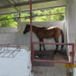 View album