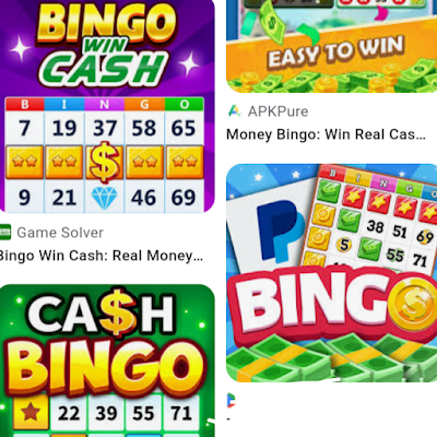 Money Bingo Earning App