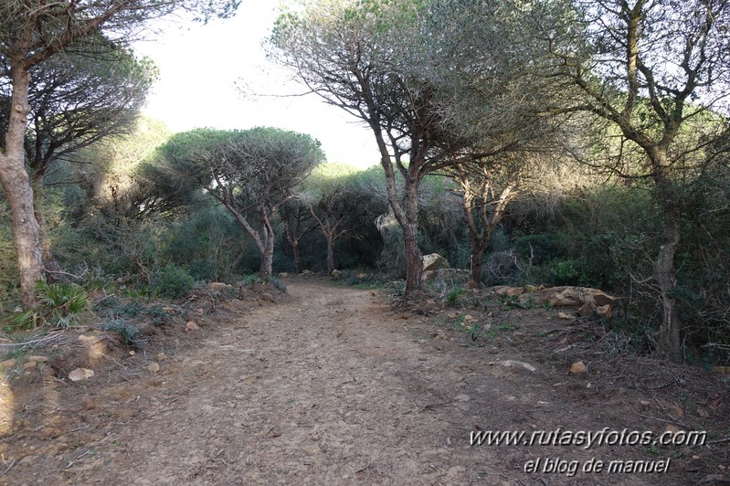 Baterías de Punta Paloma - Canteras romanas