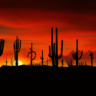 Nature-Wallpapers-for-iPad-Wallpapers Nature-Wallpapers-for-iPad-Wallpapers