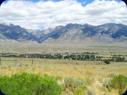 IMG_1203