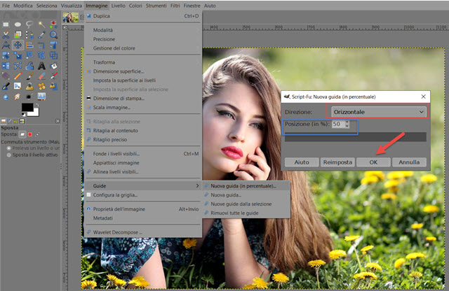guide-gimp-percentuale